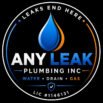 Any Leak Plumbing